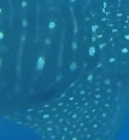 db2ca38d-f18c-40d5-b260-038cedeecdd5