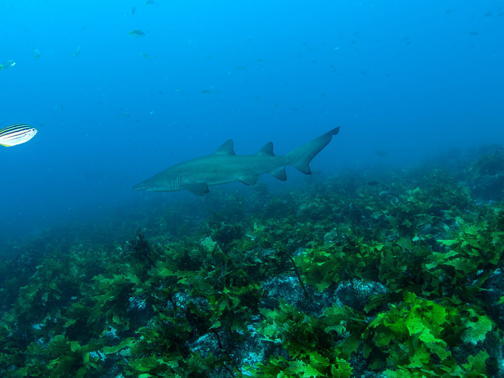 d563b574-0a2a-47d4-9d31-221020b03b8a