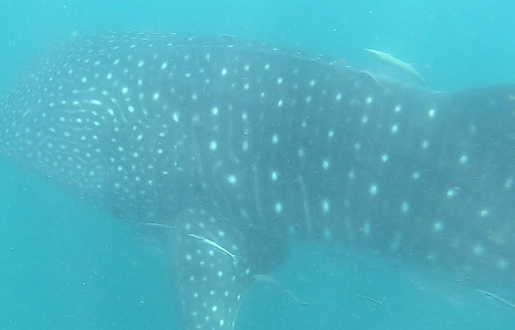 5437d9a6-cc41-421b-afbc-af4741ec90fa