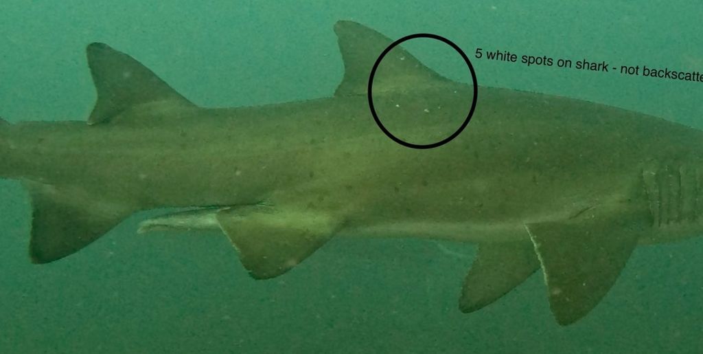 976db352-6197-45dc-9e08-c5b7598cf411