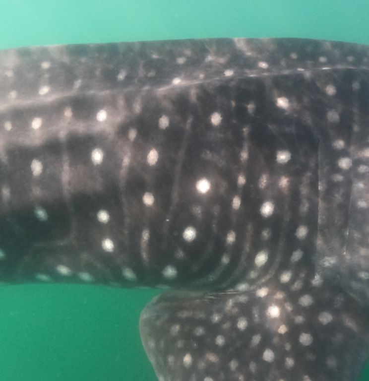 34de21de-68b0-42ba-bcae-394695d8ecd2