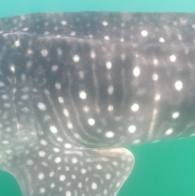 34de21de-68b0-42ba-bcae-394695d8ecd2