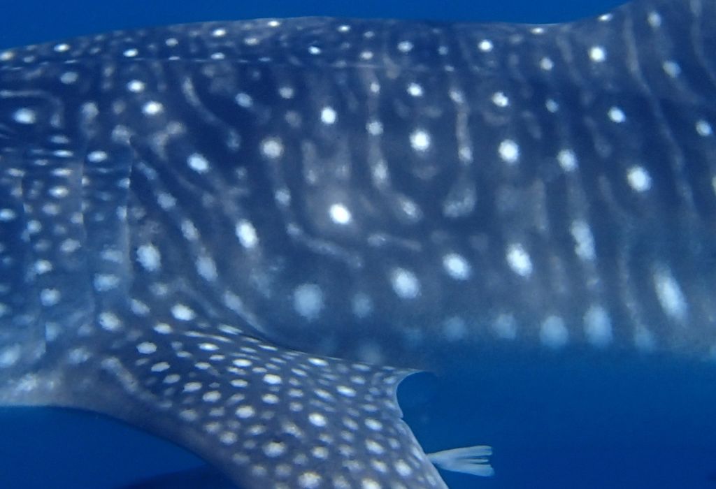 b6b8e562-9b22-47ad-9c68-ebb89b41981a