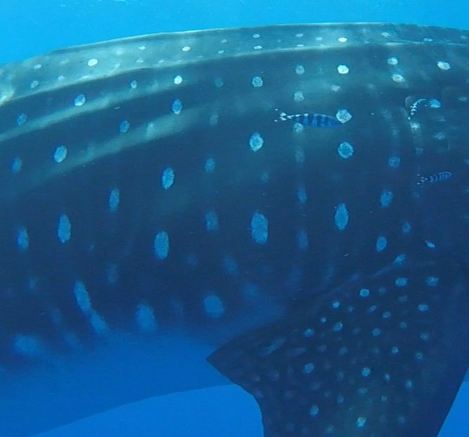 267d0f2b-471a-41e4-9fe1-344006943d9a