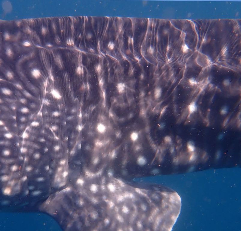 f9ea1481-ee49-46ac-8c96-1ff661b92a80