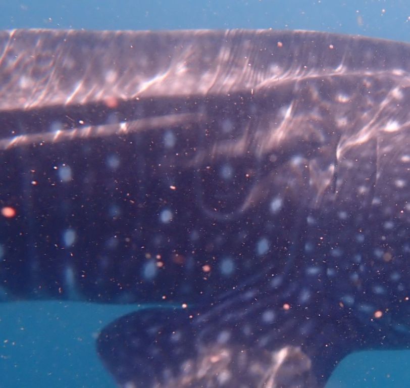 f9ea1481-ee49-46ac-8c96-1ff661b92a80