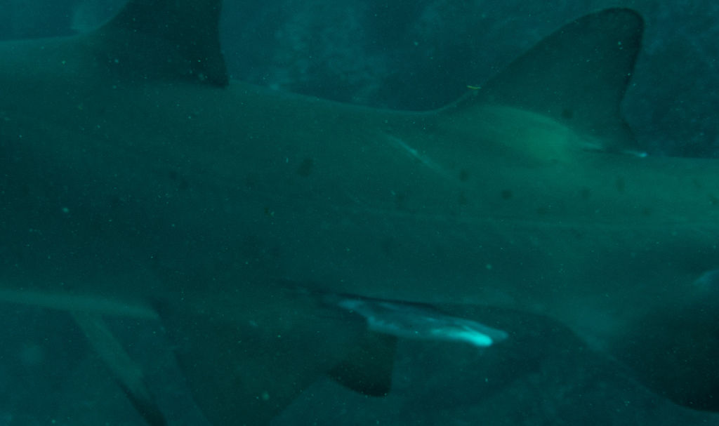 c5c92566-ec05-4a7c-a683-86a1f9fcc791