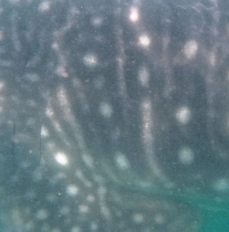 aa9eb8ef-269f-4326-b97b-92cf5041ed89