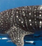 733b397e-ab31-46c3-9399-b53eceb0b7d5