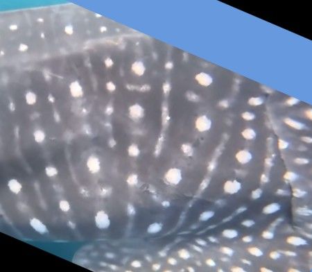 63f04e11-b78b-4088-8475-8e605183ee3e