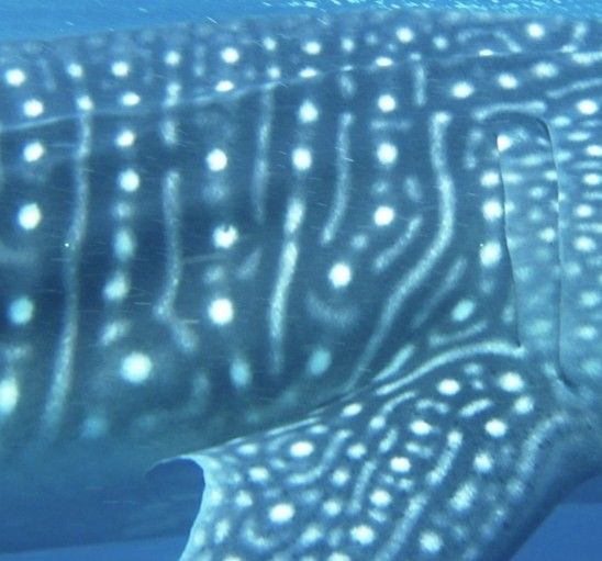 dc5d957a-5ddd-4f5b-ac4d-caa3dc9a3dee