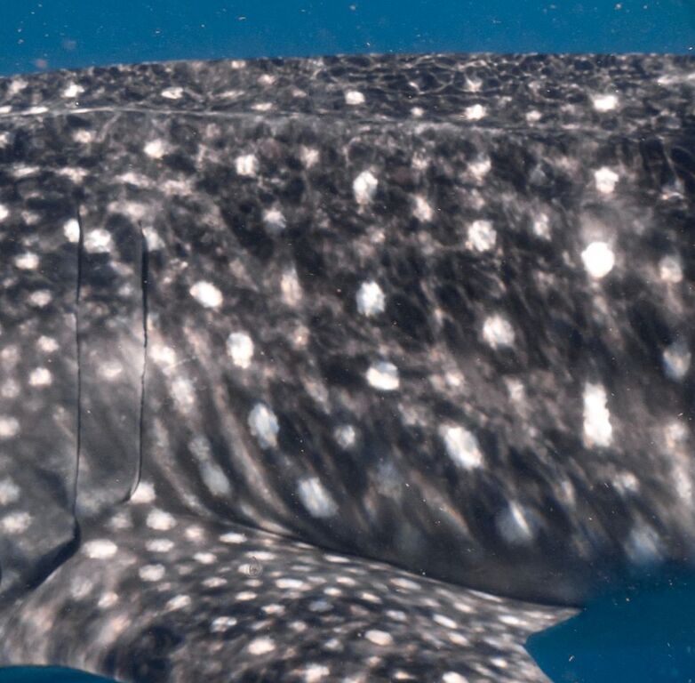 7c8896d6-6902-4674-8b60-31eeae6d0b0e