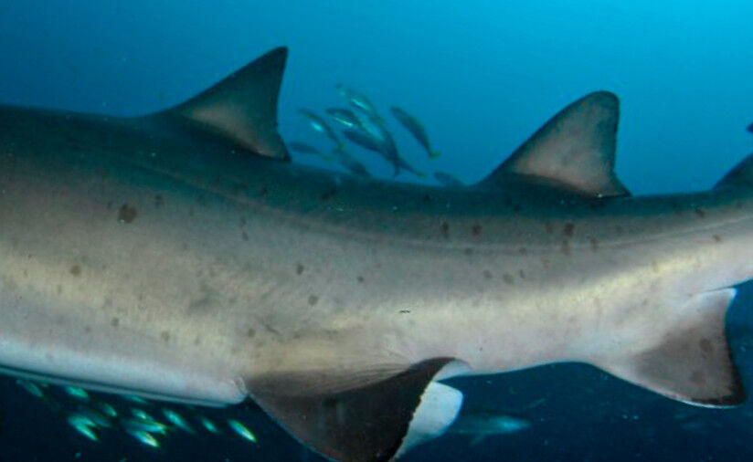 a07292d7-2582-4587-b0e7-63cc5514f2dc