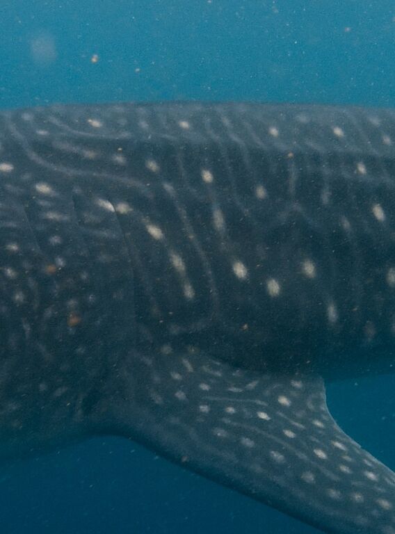 b05d33fe-5a5c-4d44-ac91-71d31a3ca0e3