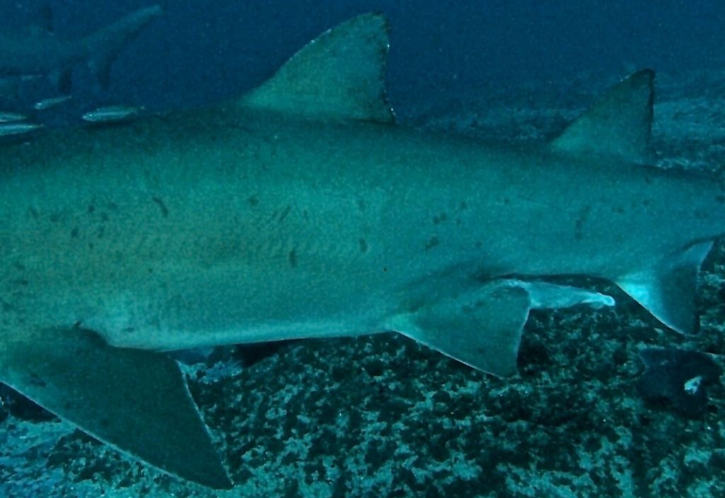 169c66d1-e7ba-4283-bb85-01241048531d