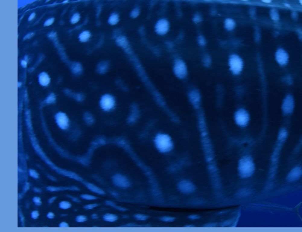 e39757ac-089c-494a-b074-e2ae02a995f3