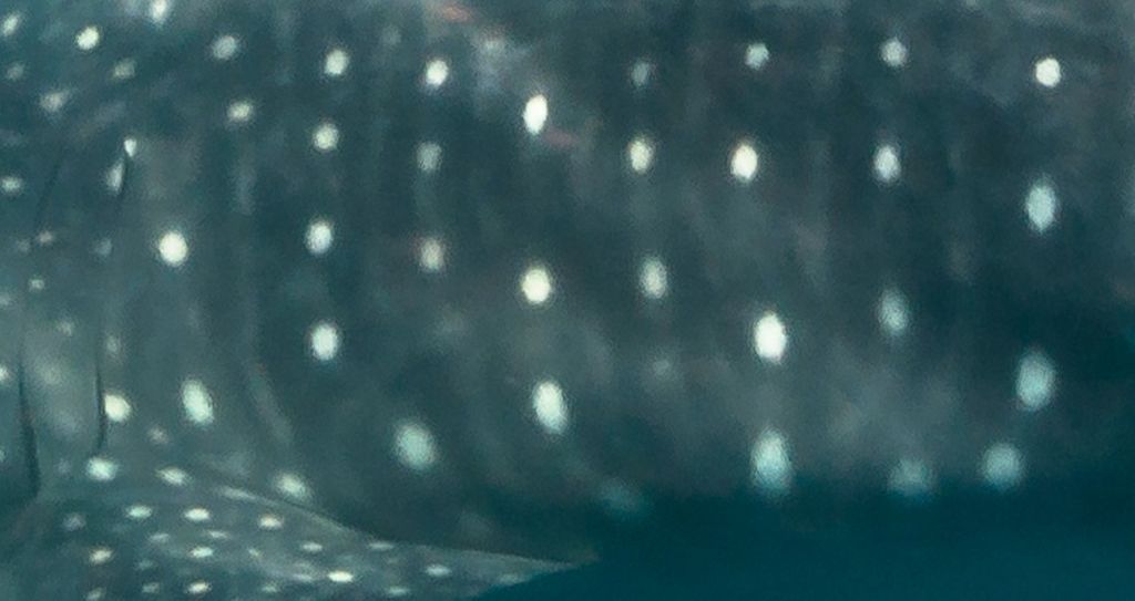 5c64125a-be46-4af2-94ae-cae7b677669d