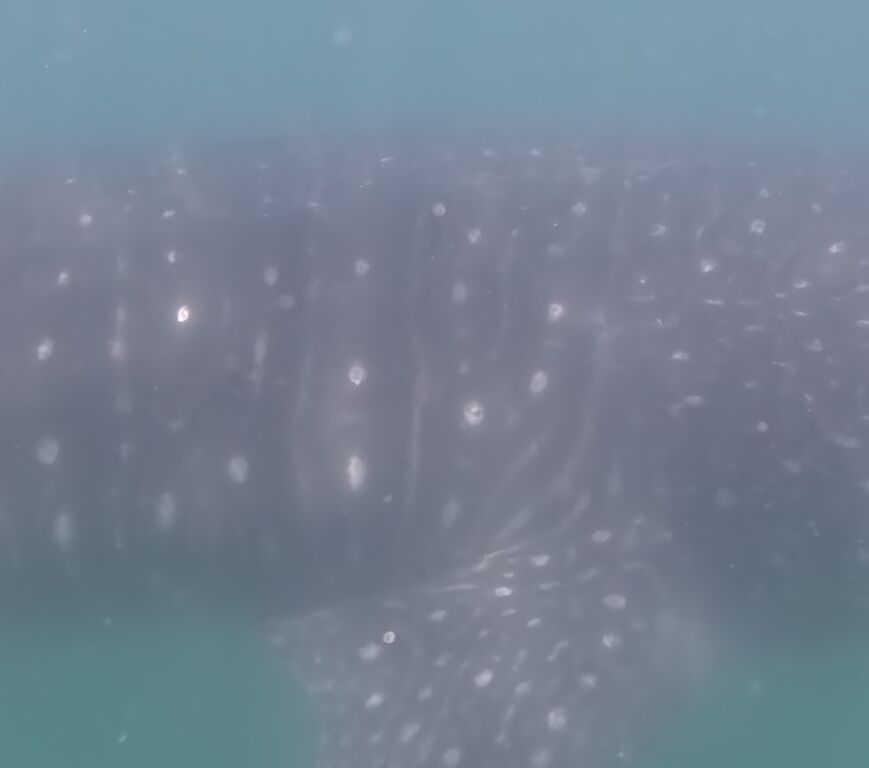 8023dbf5-9817-4f6d-845b-8809a2a06357