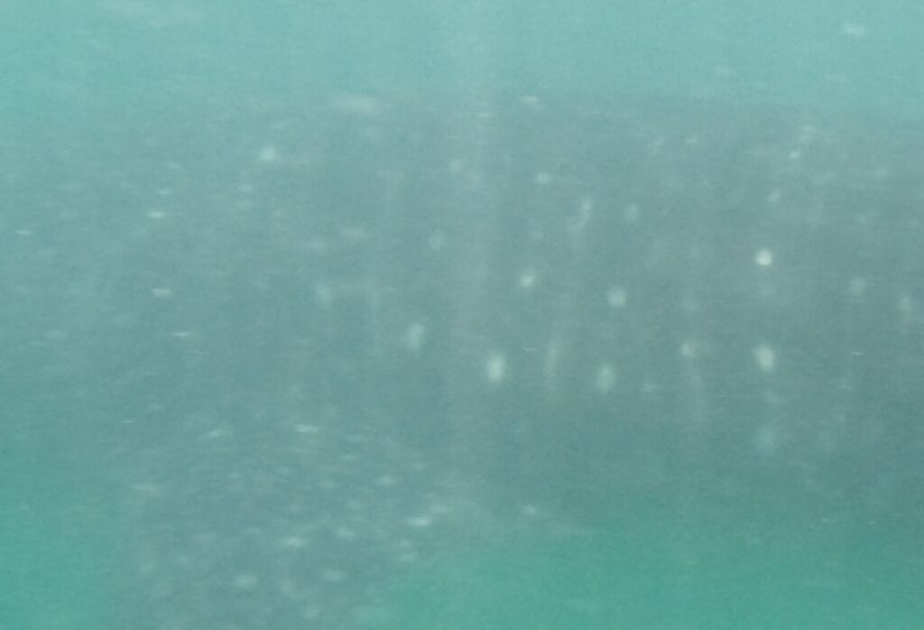 8023dbf5-9817-4f6d-845b-8809a2a06357