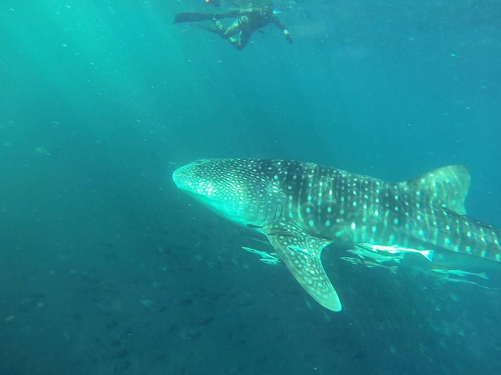 891526bd-b091-4544-a338-cd01477029fd