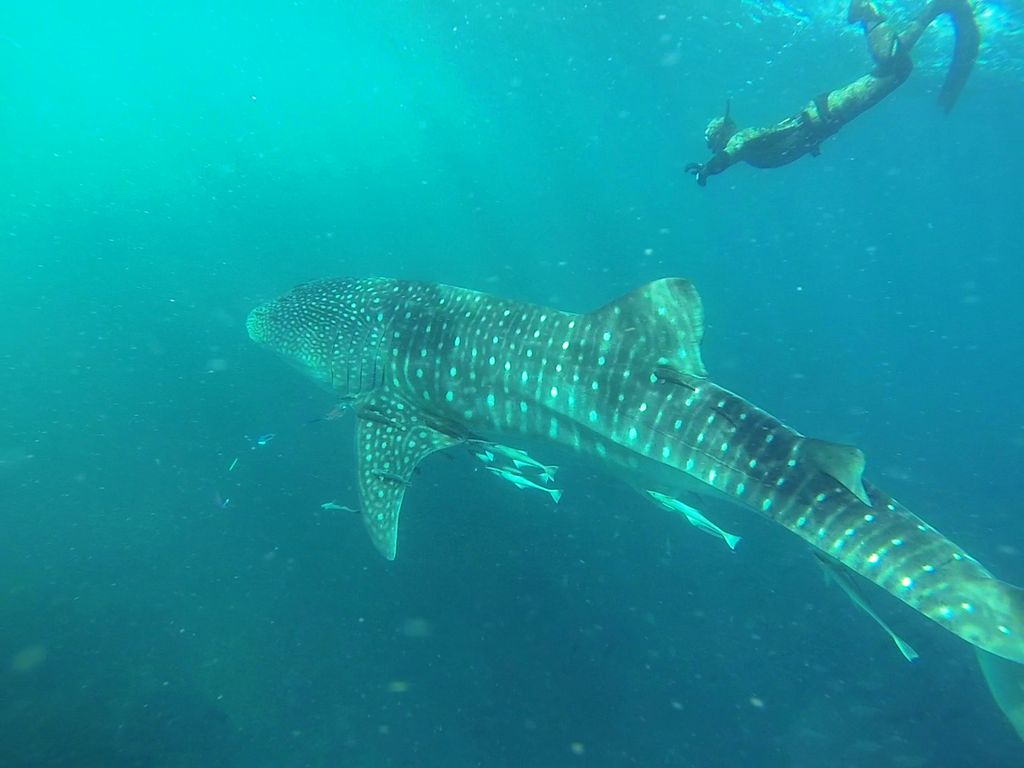 891526bd-b091-4544-a338-cd01477029fd