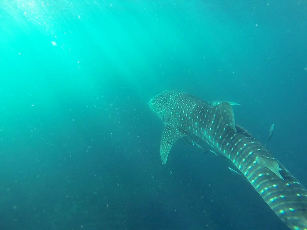 891526bd-b091-4544-a338-cd01477029fd