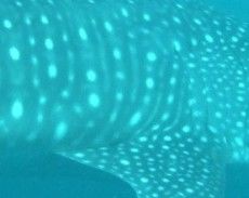 b0142963-70e9-434a-b5e7-b2e04eeb8751