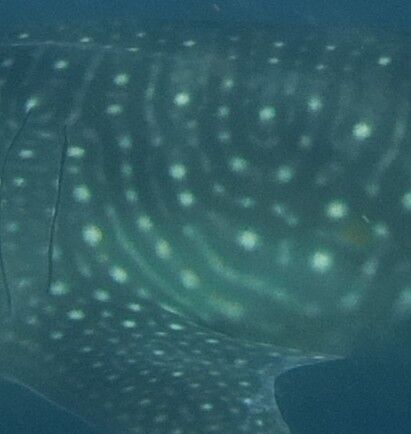 41f205be-2e6b-4713-a773-2ebd80ed84ff