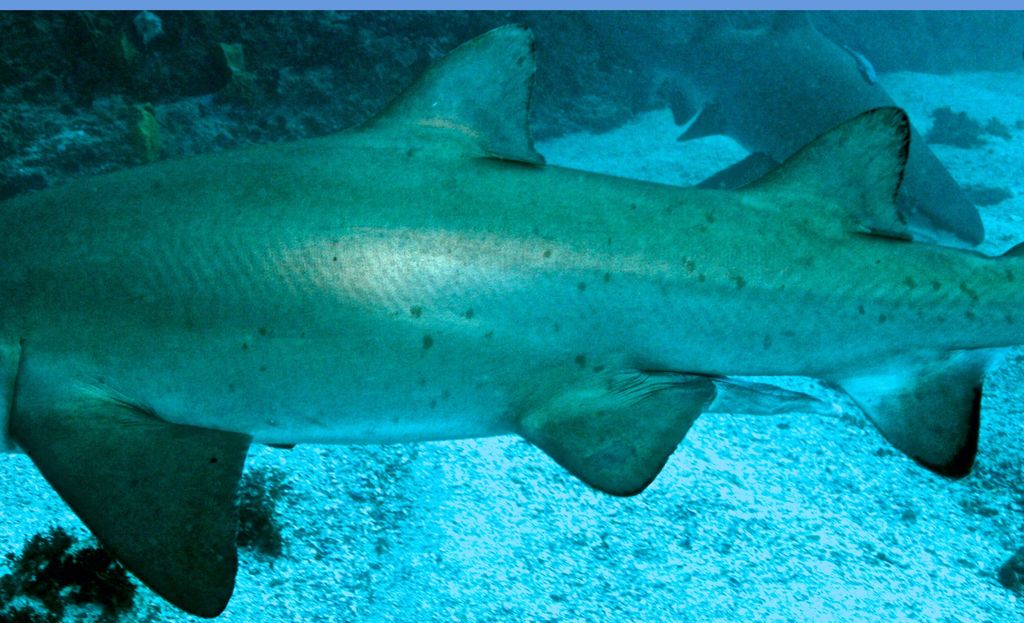 88636bb4-2505-48bd-8f71-eaefcaa36175