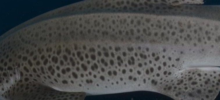 cce4b180-b5ee-4574-8409-13d462c241a6