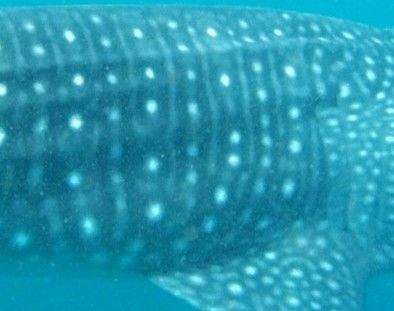 9a362f03-e22d-4a26-b2e0-9dc4ffb9d634