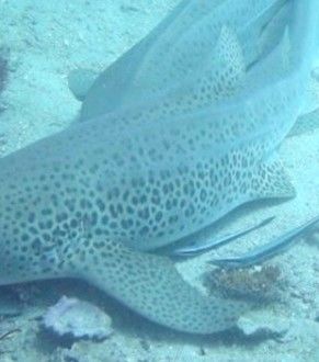 62c03a3f-babf-4698-8868-737d19c4a721