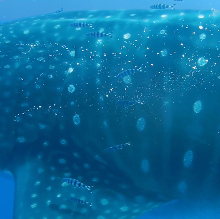 f46d3d36-5904-4f3c-9dae-119c46a90657