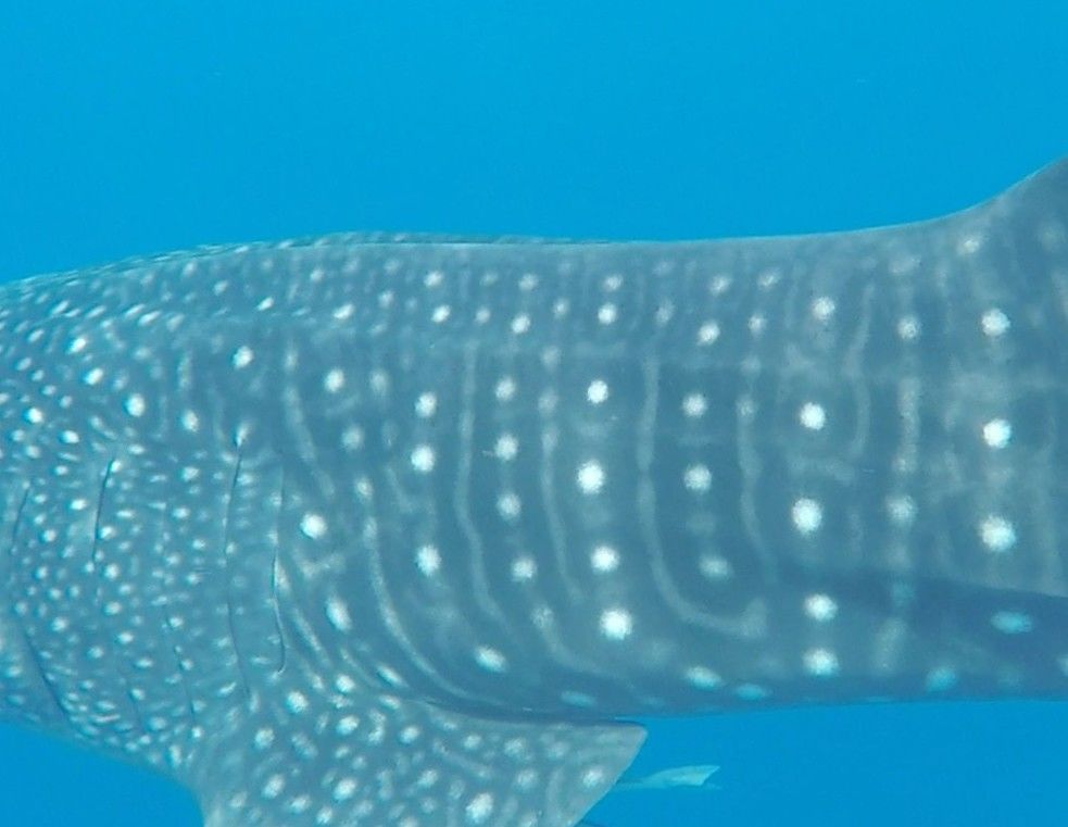 7e1ddaea-1343-4036-893b-27160e1099cf