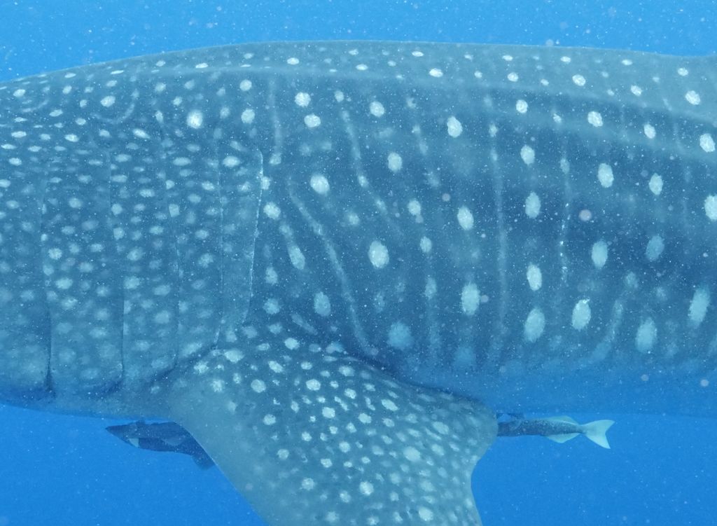 a5064724-769a-4fc2-9521-a278c6d54867