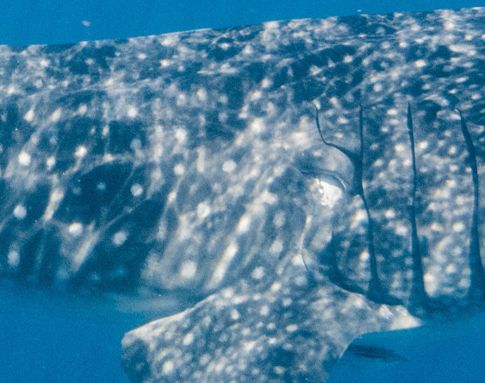 26a89fa0-ef44-4294-923c-660347df0ef2