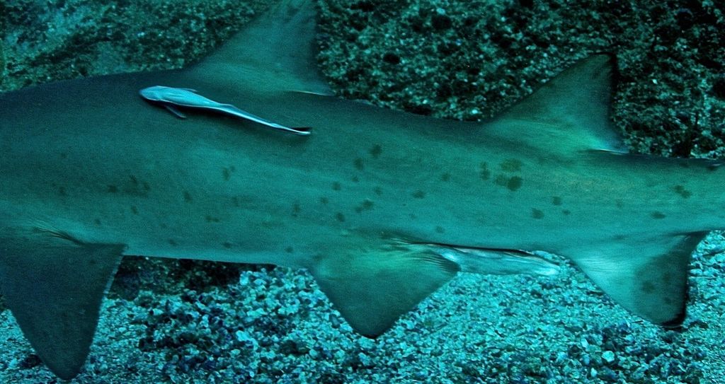 cca500bc-2a32-4f0b-9e89-6e6ea0d88a25