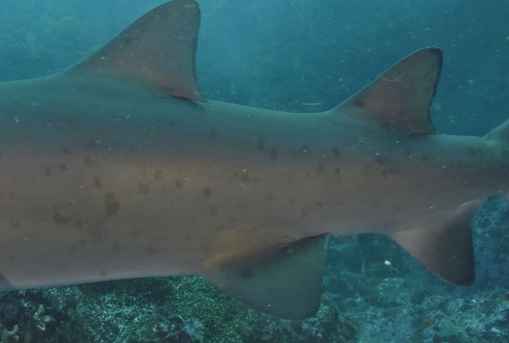 396632a8-7df4-4b5b-b1f6-37824ee043cf