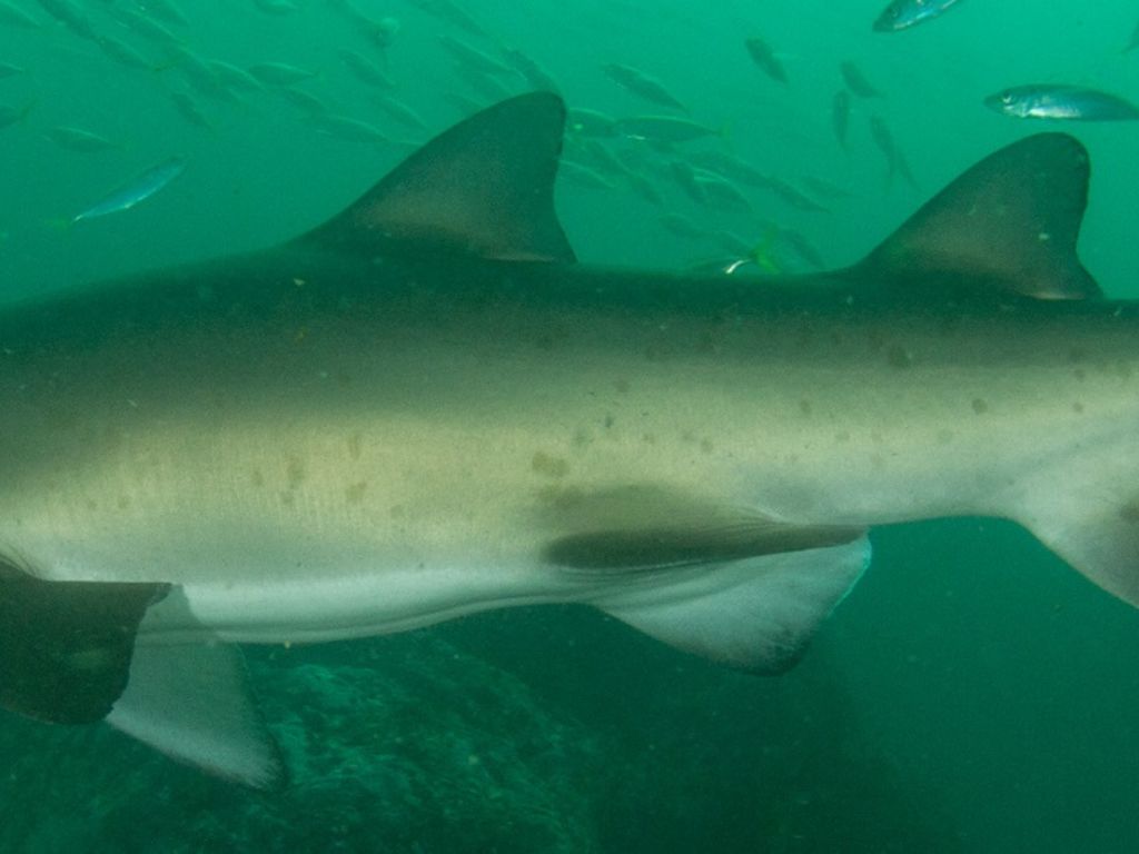 d3d97800-043a-41d2-848c-12a80f29ce0a