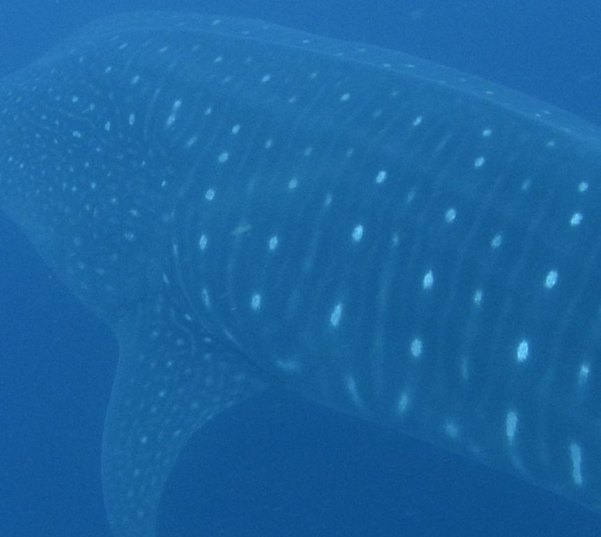 6e9e51e1-8c78-4d07-9522-d73b46e5d9ec