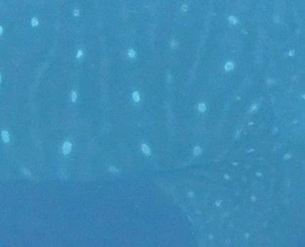 6e9e51e1-8c78-4d07-9522-d73b46e5d9ec