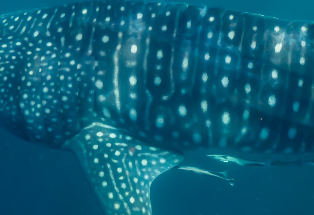 816c2f96-fa6a-470d-8ccc-ce963238d22f