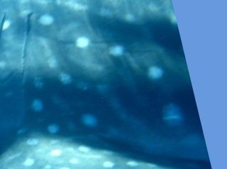 3c3a17c7-bbda-4169-a21b-dbed196118d0