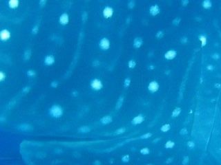 3c3a17c7-bbda-4169-a21b-dbed196118d0