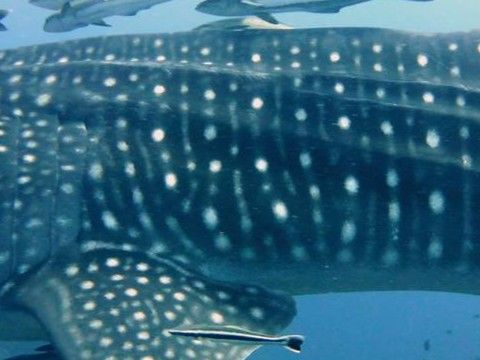 13bd98f1-10fe-4086-b0a4-71340c377cb1