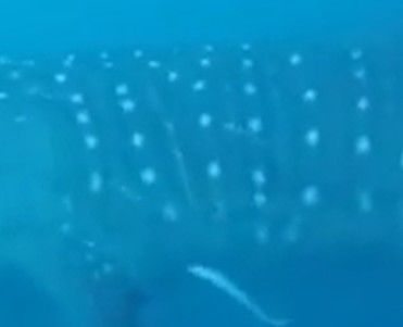 faf57370-23be-4eff-a8ce-a7af37aa2d0e