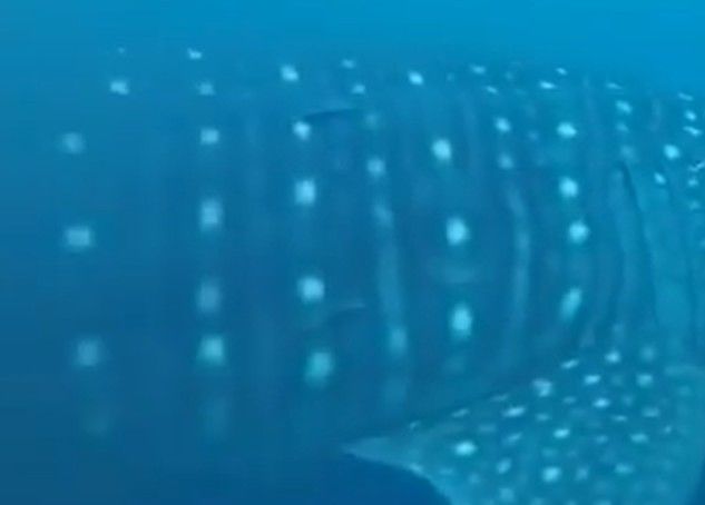 faf57370-23be-4eff-a8ce-a7af37aa2d0e