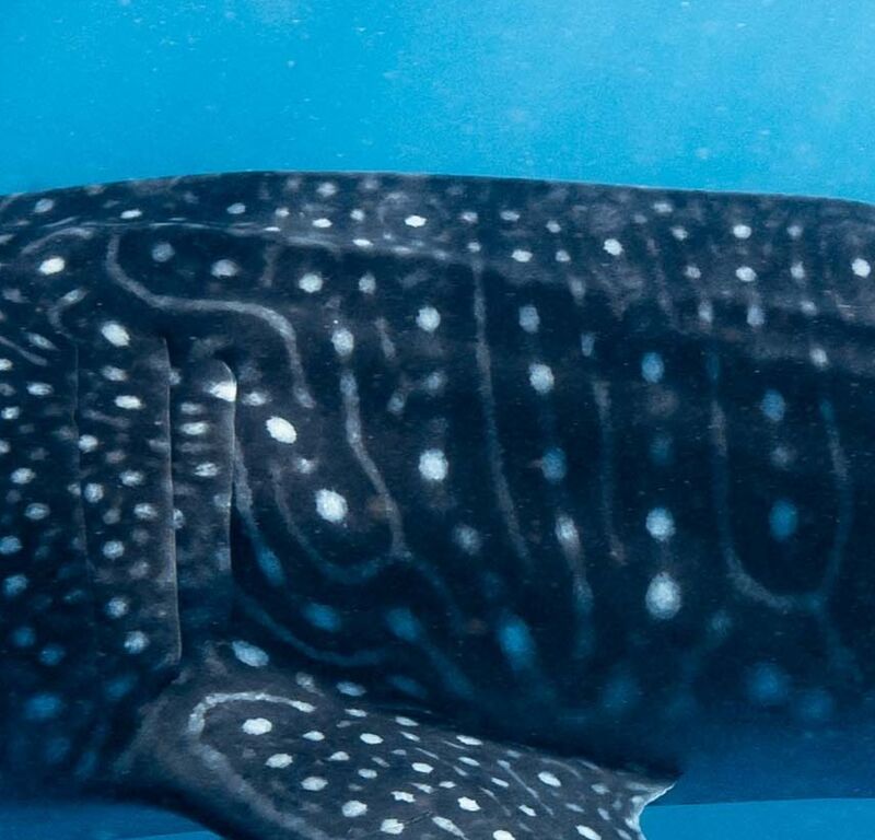 ae43bc7d-4696-46ef-835e-ea5b69c695a6