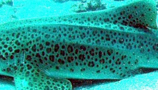 df88d6d6-e1c8-4e9c-853c-ead5c9b980ae