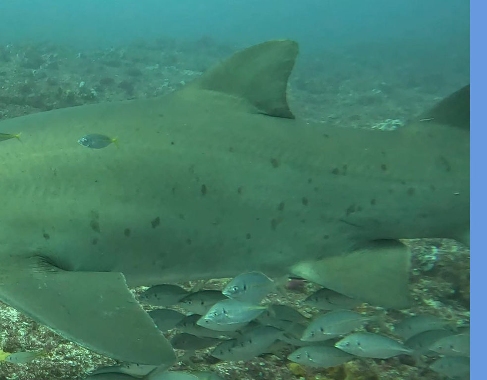 efd215b6-69fb-4d2a-b307-54d47c82d4ac